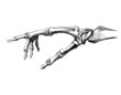 knochen_hand