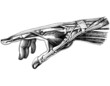 Hand_1