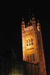 Photo: westminster palace by night westminster palace by night