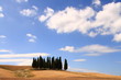 Wolkenhimmel, Zypressen, Toskana, Italien