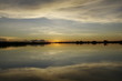 Sunset 4