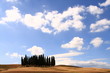 Wolkenhimmel, Zypressen, Toskana, Italien
