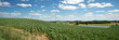 Colline de cultures