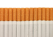 row of cigarettes on white background