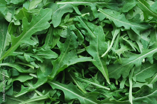 Photo: Feuilles de Roquette - Rocket Leaves Feuilles de Roquette - Rocket Leaves