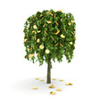 Money tree. Hi-res digitally generated image. Money tree. Hi-res digitally generated image.