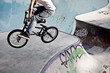 BMX im Skatepark