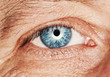 Picture of a human eye