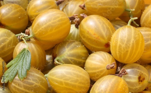 Yellow gooseberries Yellow gooseberries