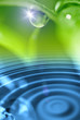 Green morning dew background Green morning dew background