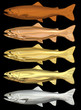 Illustration: Chrome Trout Bodies - Isolated Chrome Trout Bodies - Isolated