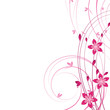 Flower background