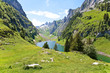 Foto: Alpenblick Alpenblick