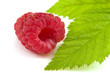 Raspberry isolated