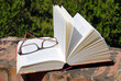 libro e occhiali 1 libro e occhiali 1
