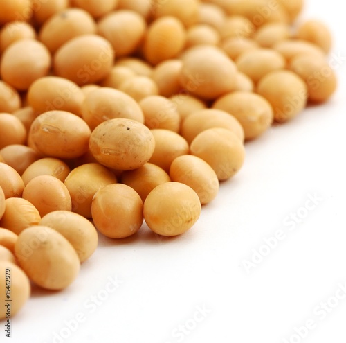 Photo: Soybean Soybean