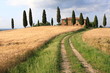 Weg,  Zypressen, Haus, Wolkenhimmel, Toskana, Italien