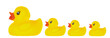Family duck toy