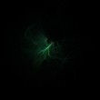 Green power 2