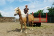 Reiten