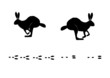 Hase mit Hasenspur