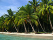 Beach no. 5, Havelock Island, Andaman Islands, India