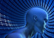 Binary Cyberspace