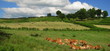 Vassivière en Limousin Vassivière en Limousin