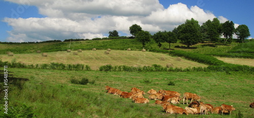 Vassivière en Limousin