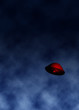 Flying saucer