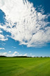 Summer background Summer background