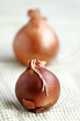 Onions