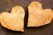 Aus dem gleichen Holz