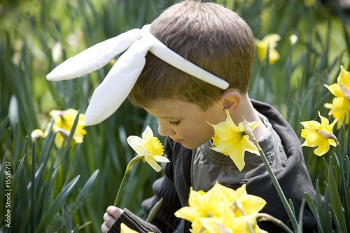 Photo: Young Boy Smelling Daffodil Wearing Bunny Ears Young Boy Smelling Daffodil Wearing Bunny Ears