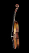 Violin Profile