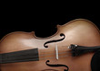 Violin Closeup