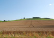 Campagne Auboise, Bligny