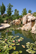 Big Pond