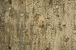 Rusted Pattern