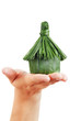 the house in hands of the person the house in hands of the person