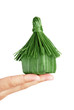 the house in hands of the person the house in hands of the person