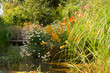 Summer Pond