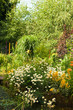 Cottage Garden