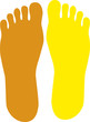 Vector: empreintes de pied en couleur empreintes de pied en couleur