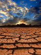 Leafless land