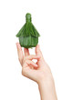the house in hands of the person the house in hands of the person