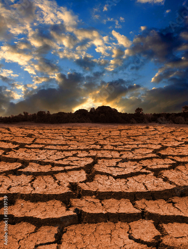 Photo: Leafless land Leafless land