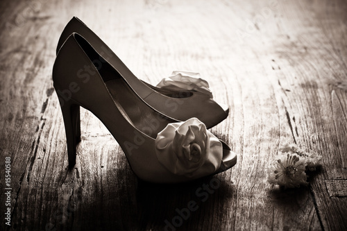 Wedding Shoes Size on Wedding Shoes    Algabafoto  15540588   See Portfolio