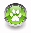 Animal footprint glossy icon