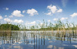 Suwalszczyzna